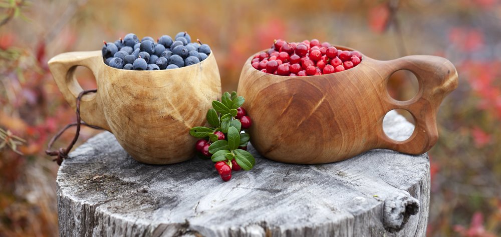 berry and mushroom in Finland